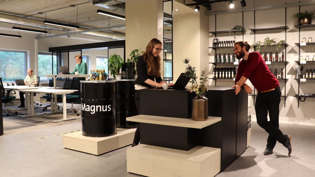 (Jr.) Omnichannel Retail Consultant - Magnus