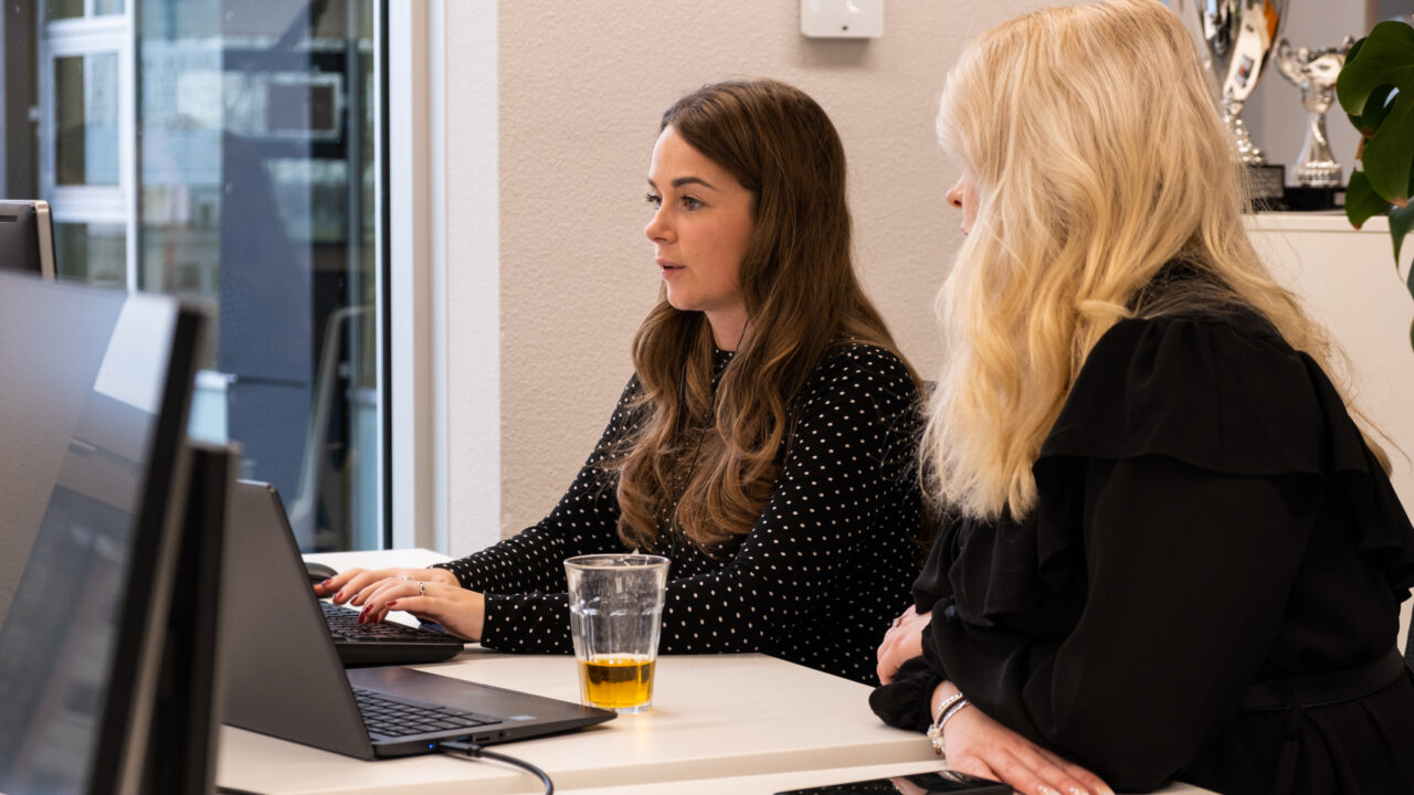Online Marketeer - Jobbird