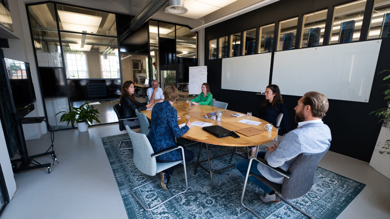 Organisatieadviseur (toekomstig partner) - EVZ organisatie-advies
