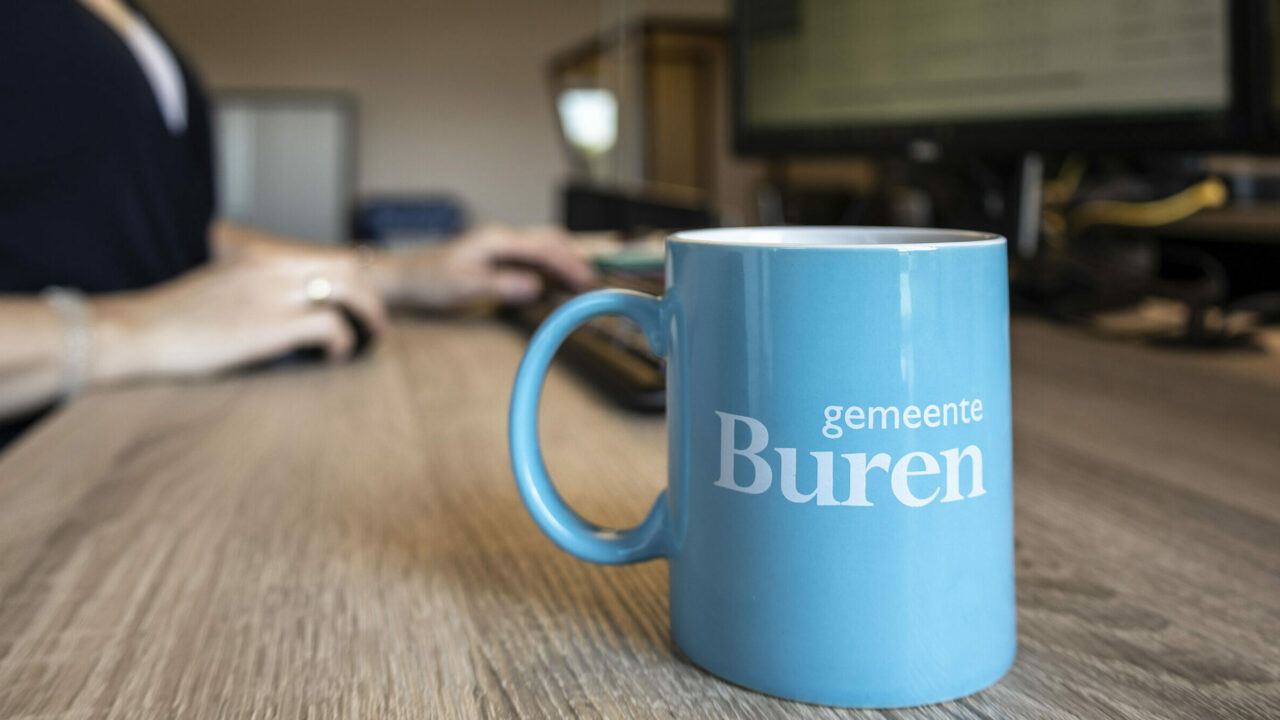 Medewerker Applicatiebeheer Belastingen/WOZ - Gemeente Buren