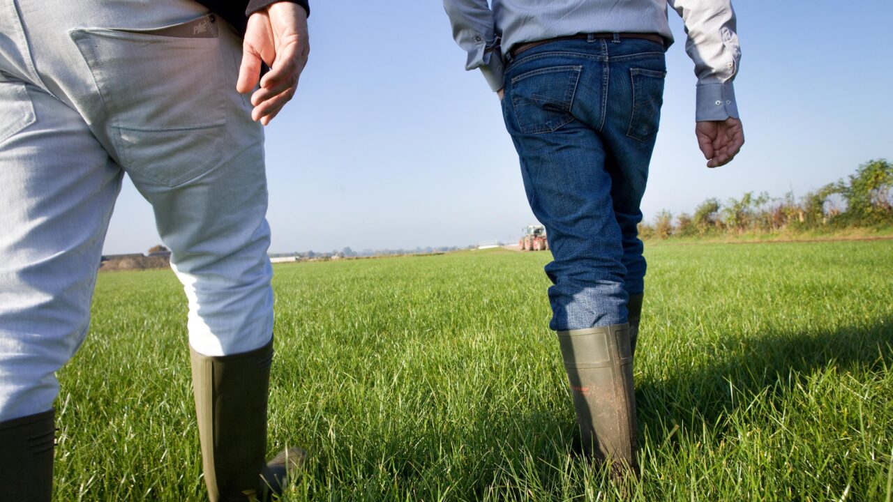 Projectleider Gebiedsinrichting - Kadaster