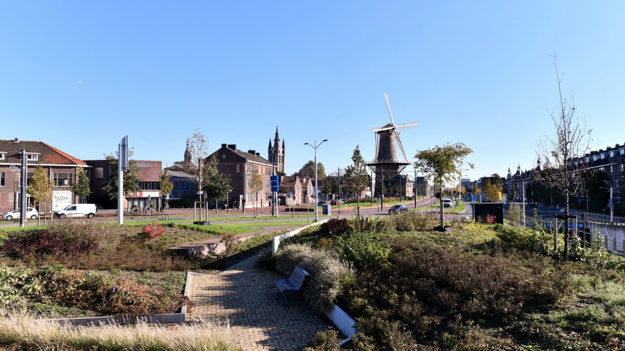 Senior Handhaver - Gemeente Delft