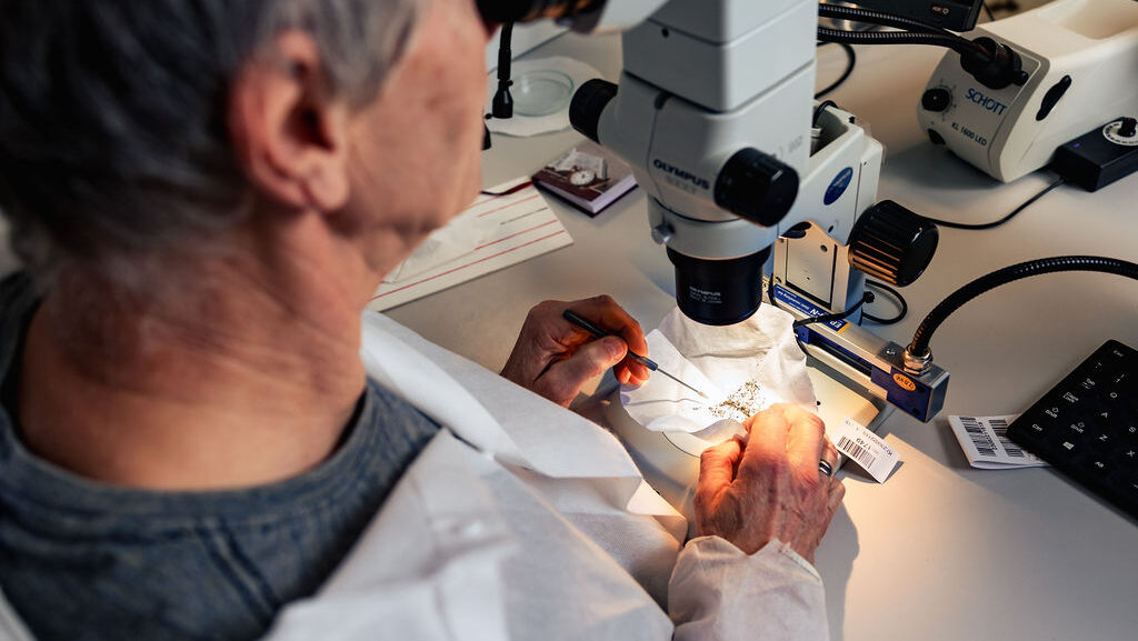 Laboratorium Analist Nematoden- & Zaaizadenonderzoek - NAK